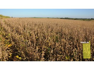 Property photo 10 - 1,153 +/- Acres offered in 15 TractsLAND AUCTION